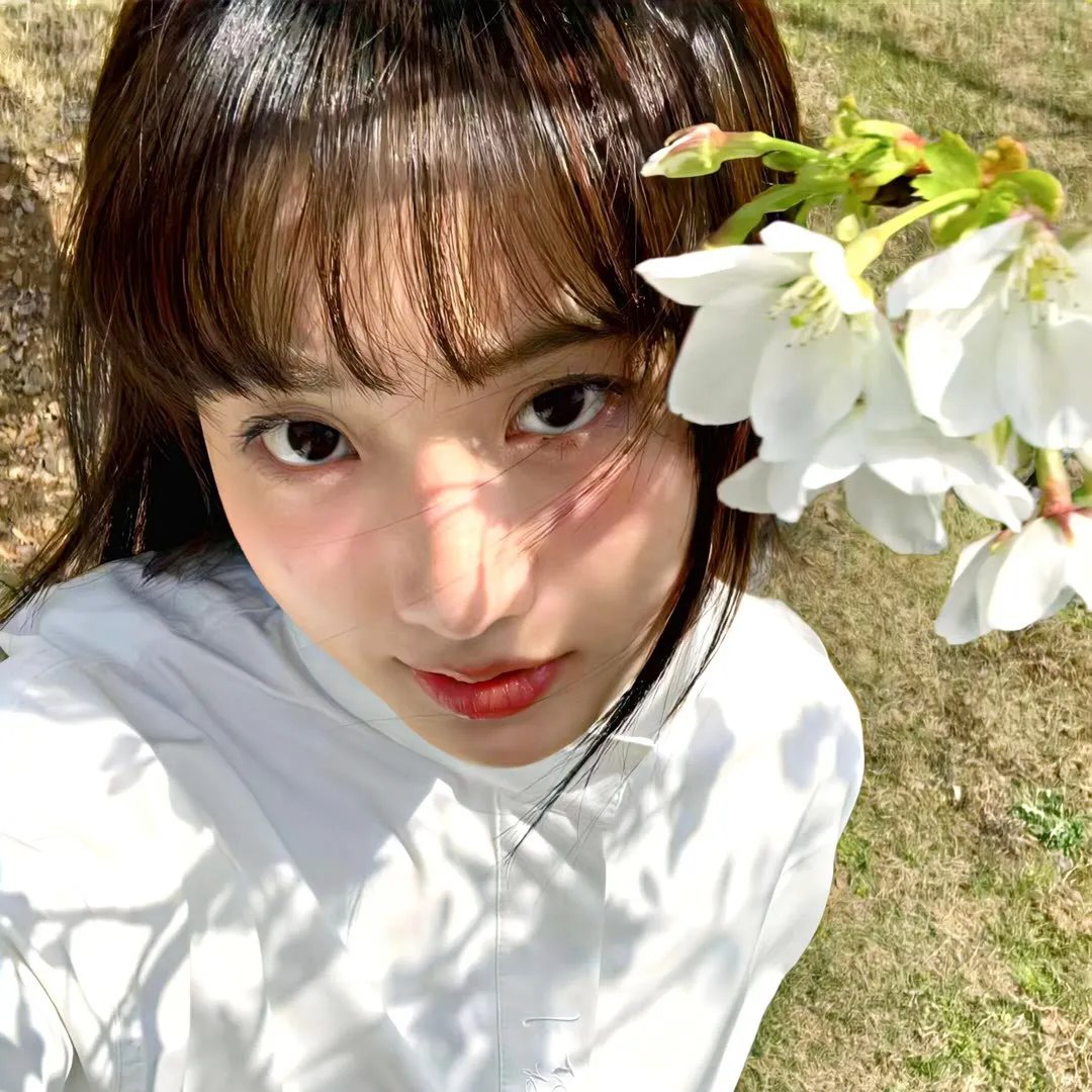 月黑风高 封面
