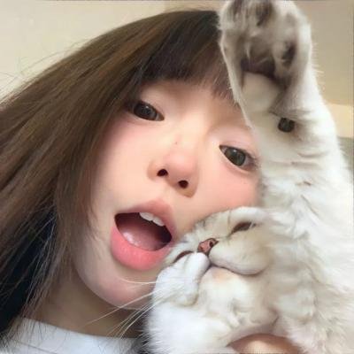 路易的第九条命 封面